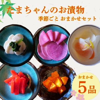 ふるさと納税 沼津市 ビール漬 季節野菜 5品 おまかせ沼津セット 小分け