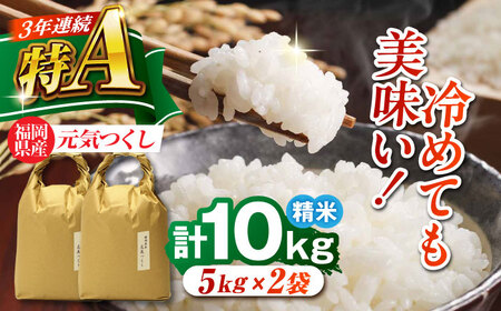 福岡県産 元気つくし 白米 10kg (5kg×2袋)[BGAF019]元気つくし