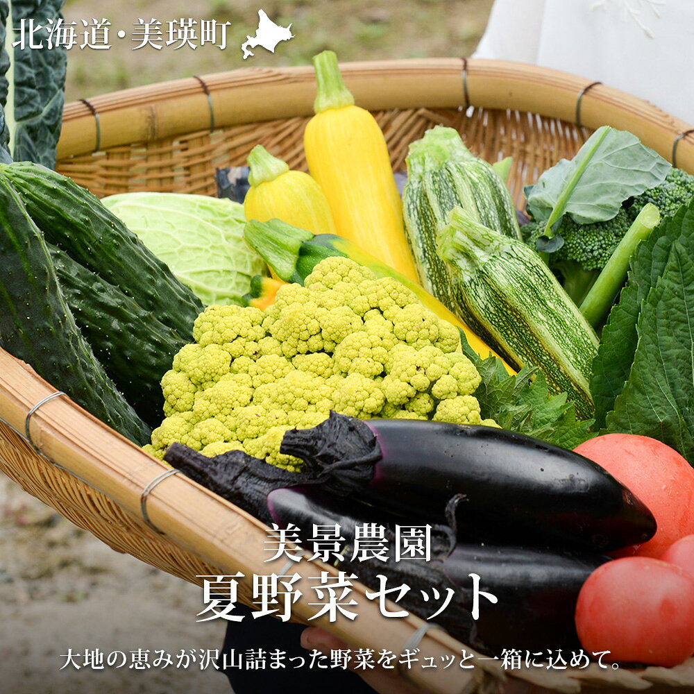 【ふるさと納税】夏 野菜 セット【令和9年産予約受付】野菜 詰め合わせ 野菜セット 旬野菜 季節野菜 美瑛 北海道 北海道美瑛 北海道美瑛町 美瑛町 美瑛 北海道産 美瑛産 トマト パプリカ にんじん スイートコーン とうもろこし とうきび トウモロコシ 野菜 送料無料 美景農園