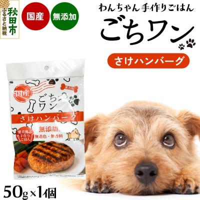 ふるさと納税 秋田市 わんちゃん手づくりごはん「ごちワン」さけハンバーグ(レトルト) 国産 |15_pco-02c101