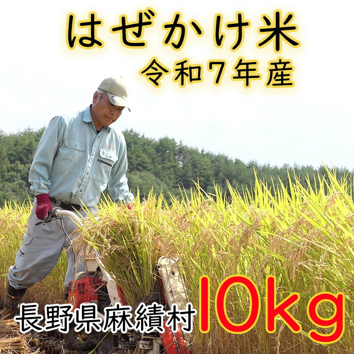 【ふるさと納税】 令和7年 米 はぜかけ米 予約 10kg 自然乾燥 天日乾燥 長野 麻績村 5kg+5kg はざかけ米 信州 長野県 麻績 令和7年産