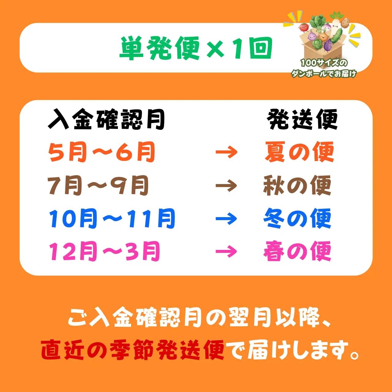 野菜 市場直送 おまかせ野菜セット