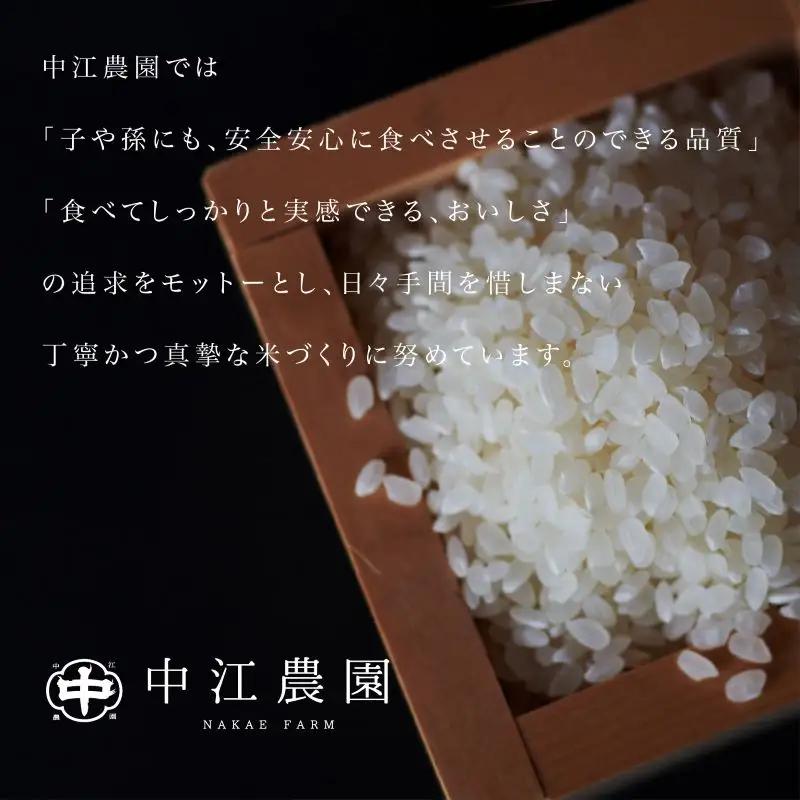 【2026年8月下旬順次発送】令和8年産 新米コシヒカリ 5kg 白米 米 数量 限定 こしひかり 5キロ 米5kg ごはん こめ コメ はくまい okome kome おむすび おにぎり 国産 飯 
