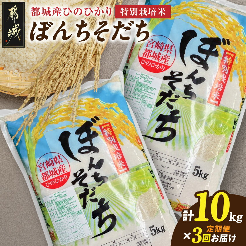 【ふるさと納税】≪3回お届け！≫都城産ひのひかり特別栽培米「ぼんちそだち」10kg定期便 - 都城産 ひのひかり 特別栽培米ぼんちそだち お米 お弁当 単一原料米 3回お届け 定期便 送料無料 T84-3-N501【宮崎県都城市は2年連続ふるさと納税日本一！】