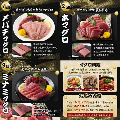ふるさと納税 室戸市 室戸屋誉丸の厳選マグロ(赤身・中トロ)を定期便で食べ比べ!【3回お届け】 |  | 02