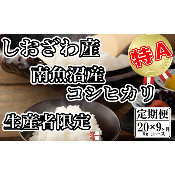 【ふるさと納税】【令和7年産】米 定期便 コシヒカリ 南魚沼しおざわ産 180kg ( 20kg × 9ヶ月 ) 契約栽培【2025年10月上旬より順次発送予定】 | お米 こめ 白米 コシヒカリ 食品 人気 おすすめ 送料無料 魚沼 南魚沼 南魚沼市 新潟県産 新潟県 精米