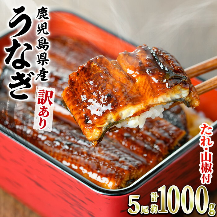 入金確認後、2週間程度でお届け！＜訳あり＞東串良町のうなぎ蒲焼(無頭)(5-7尾・計約1kg・タレ、山椒付)うなぎ生産量日本一の鹿児島県！国産で安心！豊富な地下水で育った鰻の蒲焼き！【アクアおおすみ】