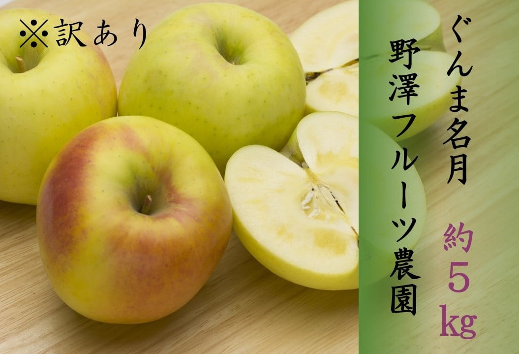 
            398 先行予約 ※訳あり りんご 名月 ５㎏ 【野澤フルーツ農園】 11月中下旬以降発送
          