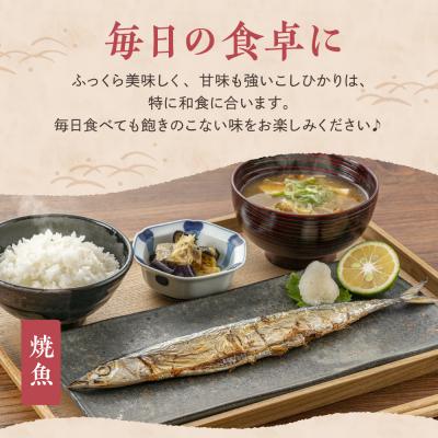 ふるさと納税 妙高市 【2026年5月中旬発送】【定期便】令和7年産 新潟県妙高産コシヒカリ5kg×2回(計10kg) |  | 01
