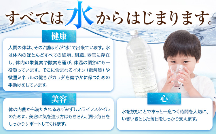 【6ヶ月定期便】熊本イオン純天然水 ラベルレス 2L×20本 《お申込み翌月から出荷》2l 水 飲料水 ナチュラルミネラルウォーター 熊本県 玉名郡 玉東町 完全国産 天然水 くまモン パッケージ--