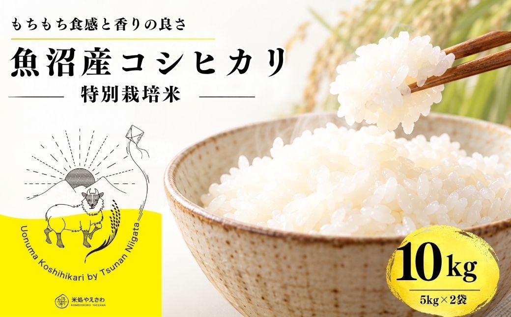 
                  【令和8年産 コシヒカリ】魚沼産コシヒカリ 特別栽培米 10kg(5kg×2袋) | 新潟県産コシヒカリ 魚沼産こしひかり 米 お米 こしひかり 白米 精米 ブランド米 津南町 米処やえざわ
                