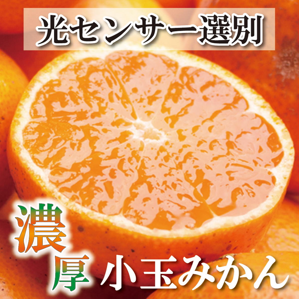 ＜2024年11月より発送＞家庭用 小玉な有田みかん7kg+210g（傷み補償分）【わけあり・訳あり】【光センサー選果】　※北海道・沖縄・離島への配送不可　※2024年11月上旬～12月下旬頃に順次発送予定