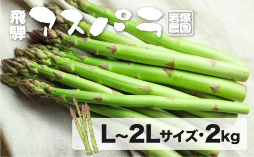 《先行予約》【2025年5月上旬～8月末発送】飛騨産アスパラガス L〜2Lサイズ 2kg 岩塚農園 春 夏 野菜 BBQ Q568x_25