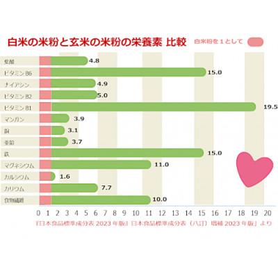 ふるさと納税 真庭市 パン・ピザ用 ミズホチカラ 玄米粉 900g 岡山 蒜山高原 |  | 01