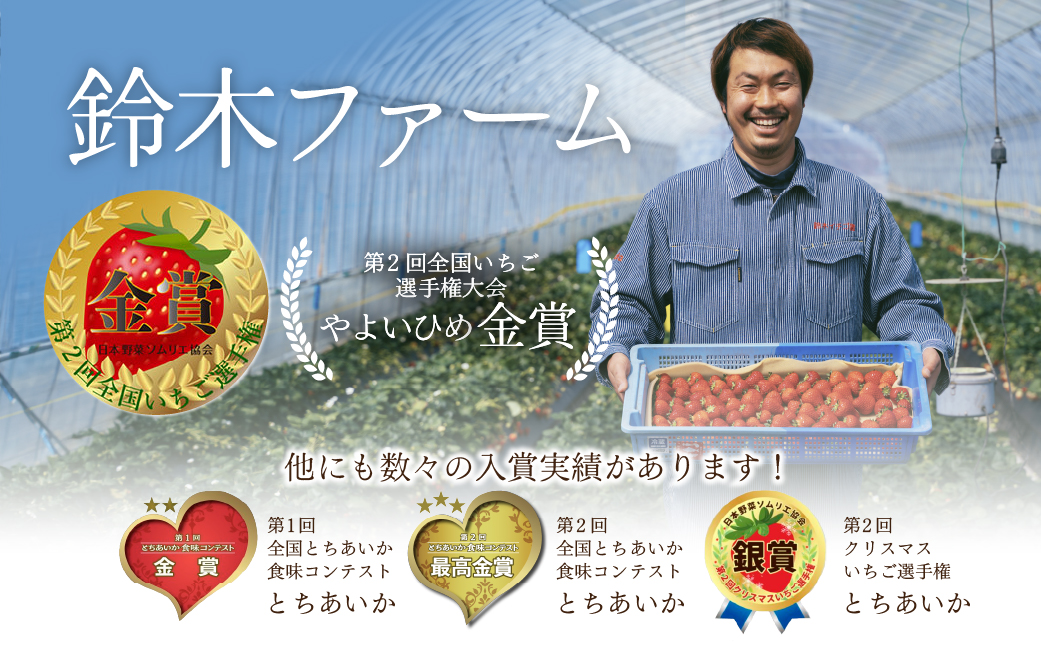 【先行受付：1月以降発送】いちご 鈴木ファームの完熟＆朝摘み やよいひめ レギュラーサイズ 約270g × 4パック 合計 約1080g | いちご イチゴ 苺 やよいひめ 甘い あまい 完熟 果物 