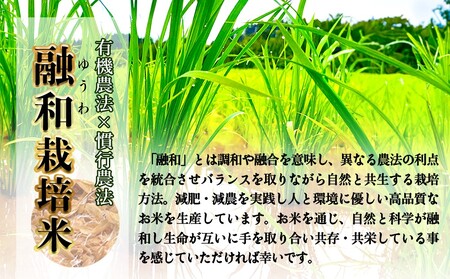 ＜先行予約＞お米自慢コンクール優秀賞！  令和6年産 富山県産コシヒカリ 白米 10kg＜10月下旬以降順次発送＞ 富山県 氷見市 こしひかり R6