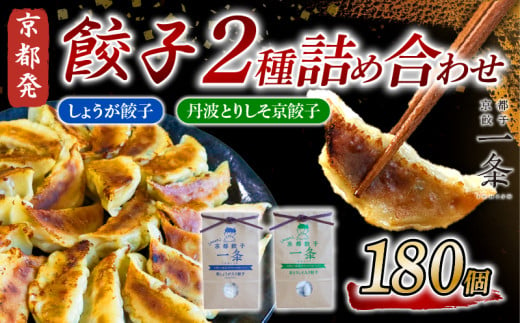 選べる 餃子 2種詰め合わせセット しょうが餃子 ＆ 丹波とりしそ京餃子  180個  冷凍 ぎょうざ ギョウザ ギョーザ しょうが 生姜 豚肉 便利 簡単調理 惣菜 絶品 おかず お子様 家族 こだわり餃子 餃子 人気餃子 簡易包装餃子 冷凍餃子 冷凍生餃子 京都 井手町 京都餃子一条 