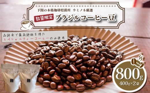 【粗挽き】 訳あり コーヒー豆 800g ( 400g × 2袋 ) 数量限定 ブラジル 珈琲 自家焙煎 下関 山口 再入荷 2024年度入荷分