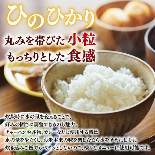 定期便 ヒノヒカリ白米  10kg×4回