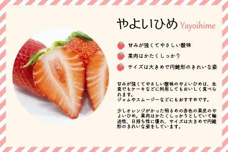 【令和9年1月～4月発送！】北海道浦河町産いちご食べ比べ定期便(全3回)[13-1629]