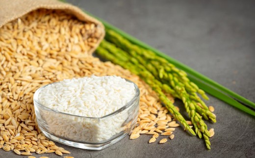 【数量限定】日本海の風が育てた北栄町産きぬむすめ 無洗米 5kg