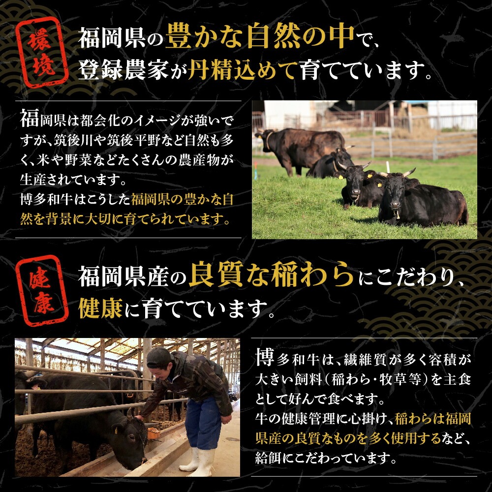 【A5ランク】博多和牛満喫4種セット（ヒレステーキ/サーロインステーキ/しゃぶしゃぶ・すき焼き/焼肉） 総重量2.0kg【伊豆丸商店】_HA0196