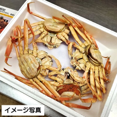 松葉ガニの本場　訳あり・釜茹でセコガニ(冷蔵)中サイズ　5枚　兵庫県新温泉町　【配送不可地域：離島・北海道・沖縄県・東北】