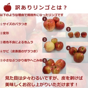 【2024年1月発送】訳ありだけど糖度13度以上！ご家庭用サンふじりんご5kg_H154(R5)
