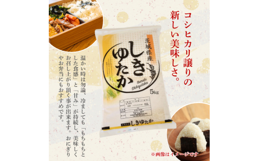 しきゆたか 5kg（茨城県共通返礼品・城里町産） / 米 こめ コメ お米 おこめ しきゆたか 白米 精米 ごはん ご飯 令和7年産 5kg 茨城県 城里町 利根町