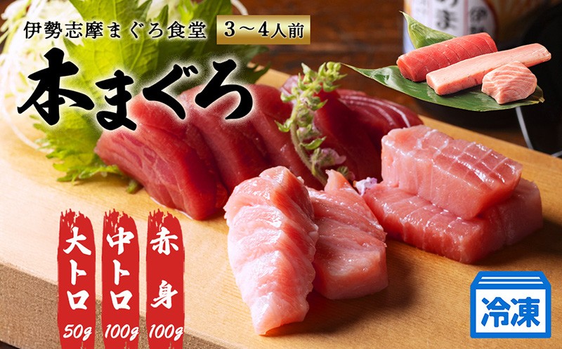 
            本まぐろ 赤身 中トロ 大トロ 計250g 詰め合わせ 3～4人前 冷凍 食べ比べ マグロ 鮪 さしみ お刺身 刺し身 海鮮 魚介 定番 海鮮丼 寿司 伊勢志摩 まぐろ食堂 本鮪 専門店 三重県 伊勢 志摩 南伊勢町 17000円 20000円以下 2万円以下
          
