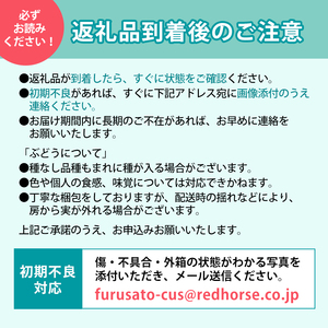 2026年産フルーツ 先行予約 定期便 3ヶ月 長野 季節のフルーツ さくらんぼ チェリー 桃 シャインマスカット ぶどう シャイン マスカット 果物 長野県 長野市 定期 お楽しみ 3回 長野県長野