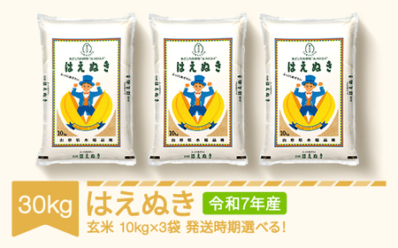 新米 米 30kg 10kg×3 はえぬき 玄米 令和7年産 2025年産 山形県産 送料無料 ※沖縄・離島への配送不可 mk-haxxa30-g