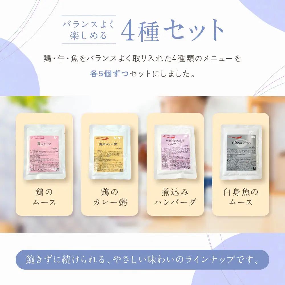 介護食 やわらか食 メインセット 鶏のムース/鶏のカレー粥/煮込みハンバーグ/白身魚のムース 各5個｜レトルト 介護食品