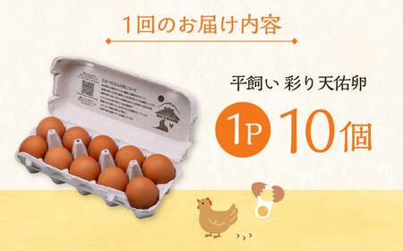 【全3回定期便】彩り天佑卵 10個入り 卵 卵 卵  卵 卵 たなべたたらの里[AIDL007]