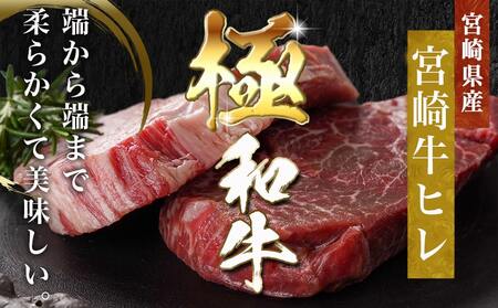 宮崎牛ヒレステーキ(150g×2枚)_AC-N406_(都城市) 宮崎県産宮崎牛 ヒレ ステーキ用カット 約150g×2枚 塩こしょう・ステーキソース付 ステーキ 牛肉 牛ヒレ 真空パック