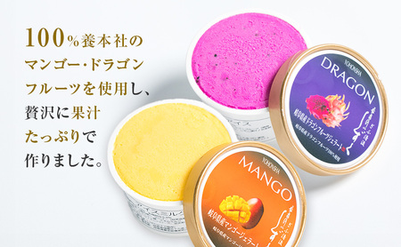 養本社のマンゴー・ドラゴンフルーツジェラートセット　2種×各3個 お菓子 ｜アイス デザート スイーツ 贈り物 ギフト プレゼント