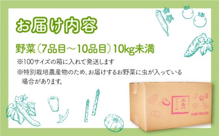 【全12回定期便】五島列島の旬野菜セット7〜10品目 おまかせ おたのしみ 詰め合わせ 五島市/五島のやぁしゃ便 [PBG001]