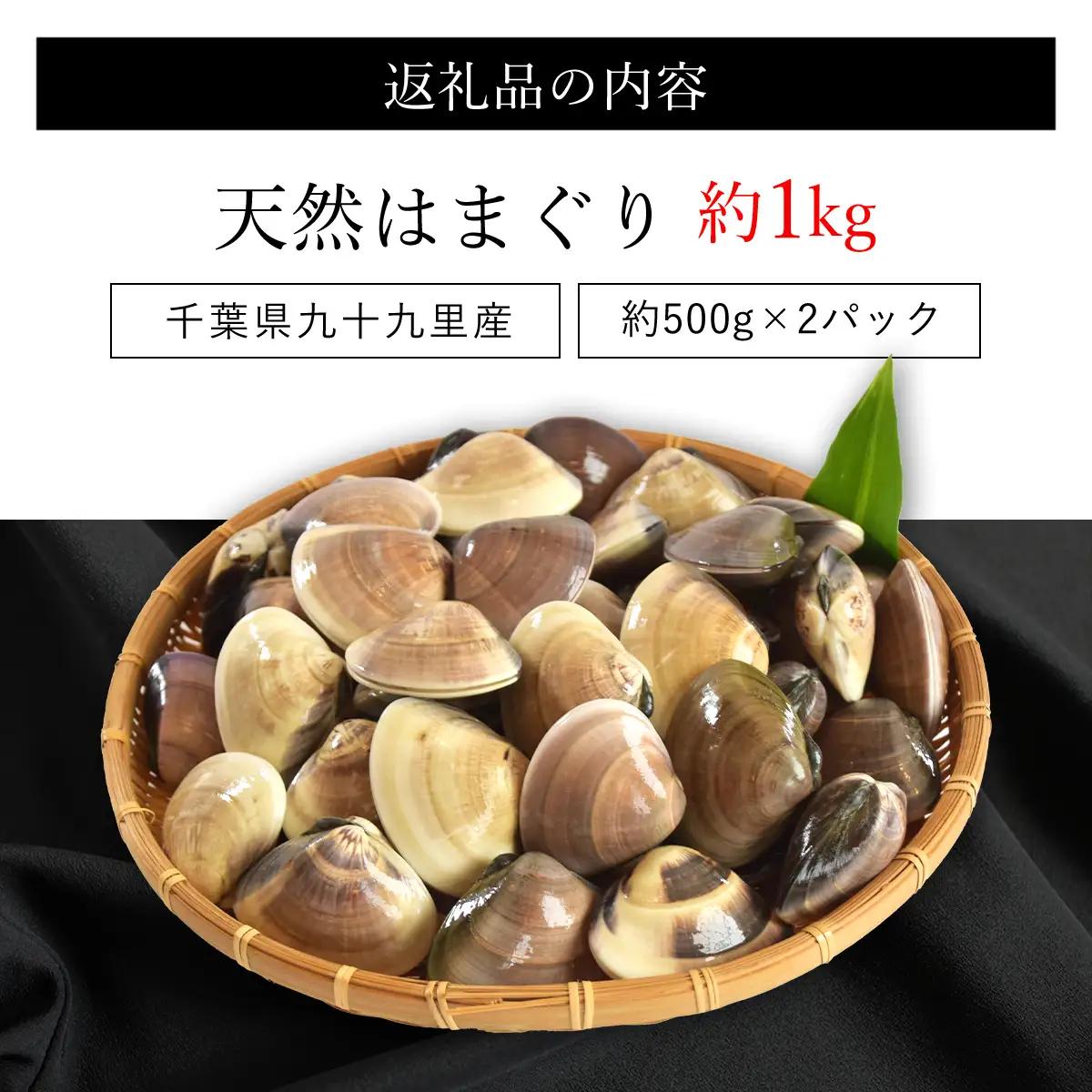 天然はまぐり 1kg 九十九里産 新鮮はまぐりを真空冷凍！SMAJ015  千葉県 山武市 はまぐり ハマグリ 蛤