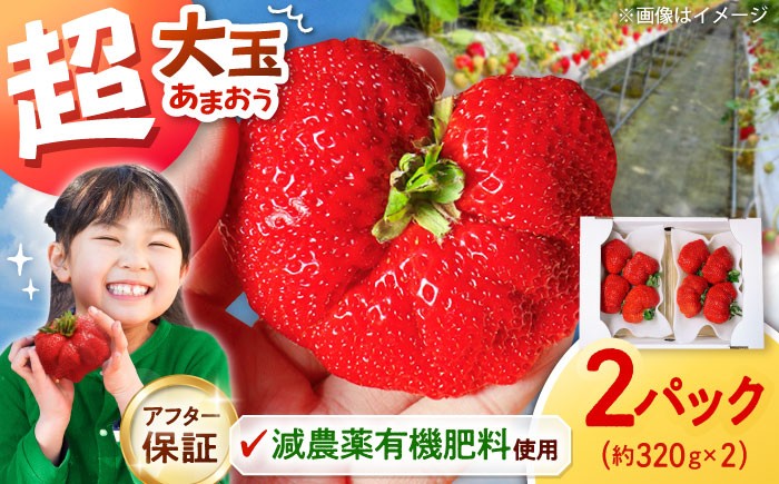 
            【収穫率1%！】超大玉 あまおう  約320g×2パック【1月上旬より順次配送】【アフター保証】 ▼博多あまおう   福岡  博多 イチゴ 苺  あまおう  いちご 果物 福岡県 福岡県産 桂川町/高嶋園芸[ADAT001]
          