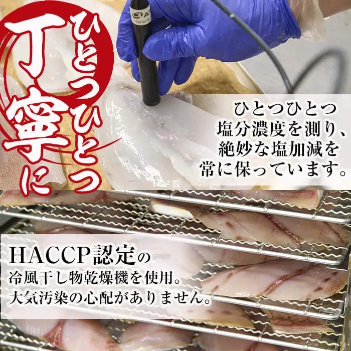 朝獲れ鮮魚で作る！魚屋さんの自家製ソフト干物！合計1kg以上(5～10枚)アジ イワシ カマス イカ タイ ブリカマ セット 詰め合わせ ひもの 焼き魚 おかず お惣菜【YS-3】【株式会社安田】