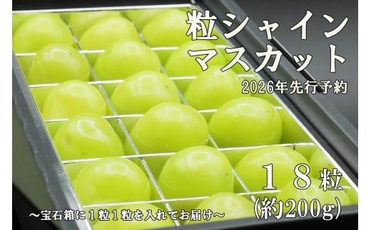【令和８年度先行予約】《厳選・宝石箱》シャインマスカットひと口BOX(18粒入り・約200g)　シャイン マスカット ぶどう 葡萄 ブドウ 房なし 粒シャイン 粒のみ 粒だけ くだもの 果物 フルーツ 山梨 やまなし 富士川町