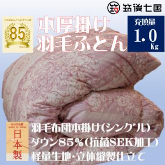 抗菌ダウン率85%1.0㎏本厚掛け羽毛布団シングル(ピンク・ベージュ系)訳あり【筑後七国羽毛ふとん】