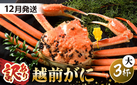 【先行予約】【訳あり】 茹で「越前ズワイ蟹」 大 3杯 脚折れ 【2025年12月発送分】【わけあり ワケアリ カニ かに 蟹 越前ガニ 越前蟹 ずわいがに ズワイガニ ズワイ ボイルガニ 姿 ボイル 冬の味覚 冷蔵 国産 県産】 [O-1403_12]