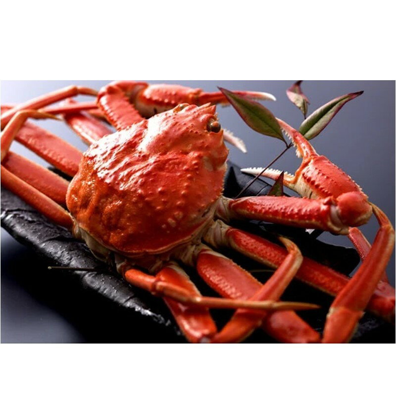 【ふるさと納税】【厳選】茹で松葉蟹 ★11月15日頃～12月お届け◆ L～8L (600g～1300g前後 ) 1杯 2杯 選べる サイズ 数量 国産 海産物 甲殻類 かに ガニ ずわいがに 松葉蟹 茹で ボイル カニ味噌 京都 京丹後 ふるさと納税 海鮮 ふるさと納税 かに