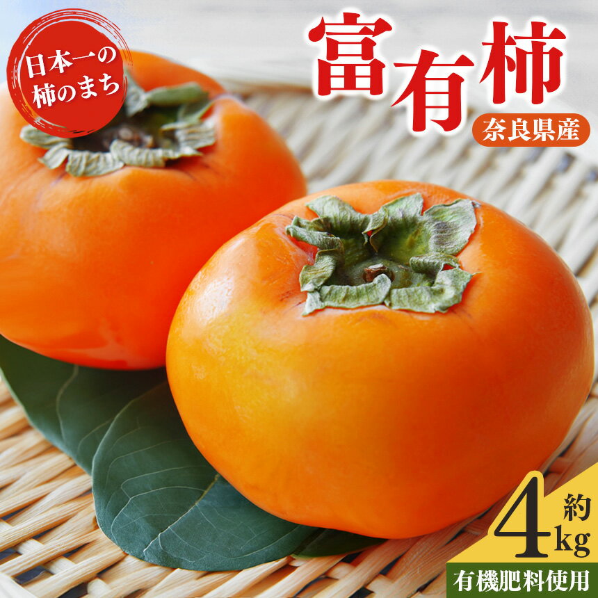 【ふるさと納税】富有柿 約 4kg | フルーツ 果物 くだもの 柿 カキ かき お歳暮 贈答品 贈り物 奈良県 五條市 ※11月上旬 発送予定