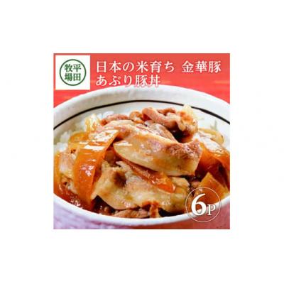 ふるさと納税 酒田市 【平田牧場】 金華豚◆あぶり豚丼セット　130g×6パック