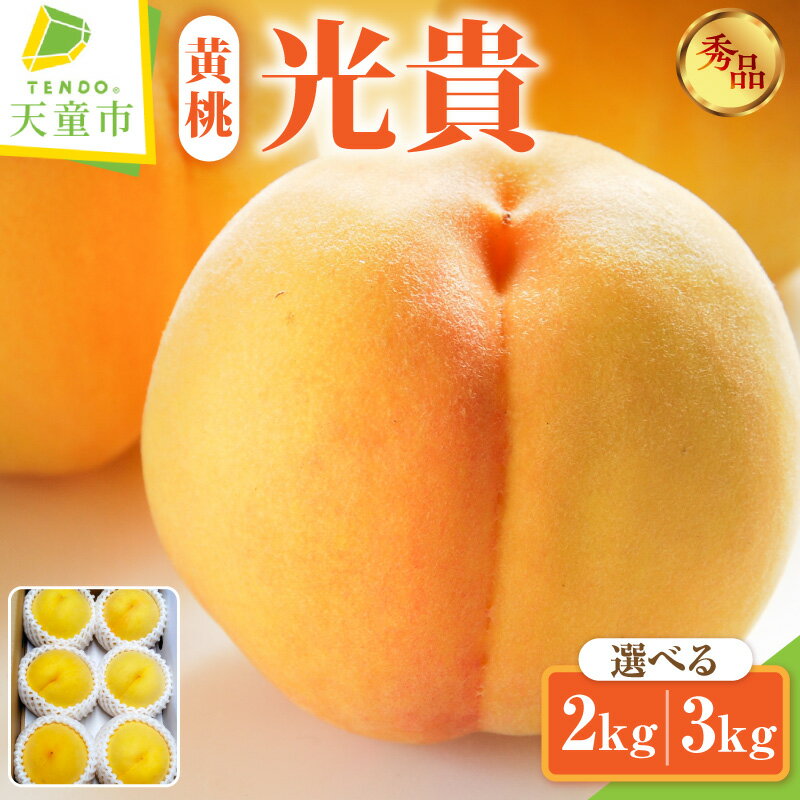 【ふるさと納税】もも ( 光貴 ) 選べる 2kg / 3kg 先行予約 令和8年産 2026年産 黄桃 桃 ピーチ peach 果物 くだもの フルーツ デザート 旬 冷蔵 ご家庭用 のし 贈答 ギフト プレゼント お取り寄せグルメ 産地直送 送料無料 【 山形県 天童市 】