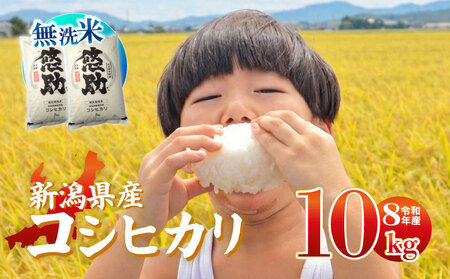 【先行予約】令和8年産 無洗米 コシヒカリ 10kg コシヒカリ コシヒカリ kwsMKH