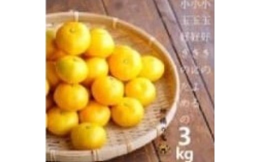 八幡浜産　あまーい小玉みかん計3kg＜C56-88＞【1668815】