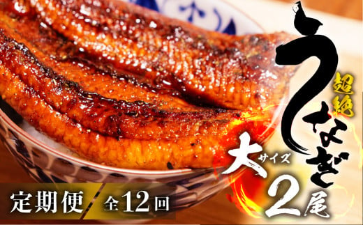 超絶うなぎ蒲焼 大2尾 定期便 12回